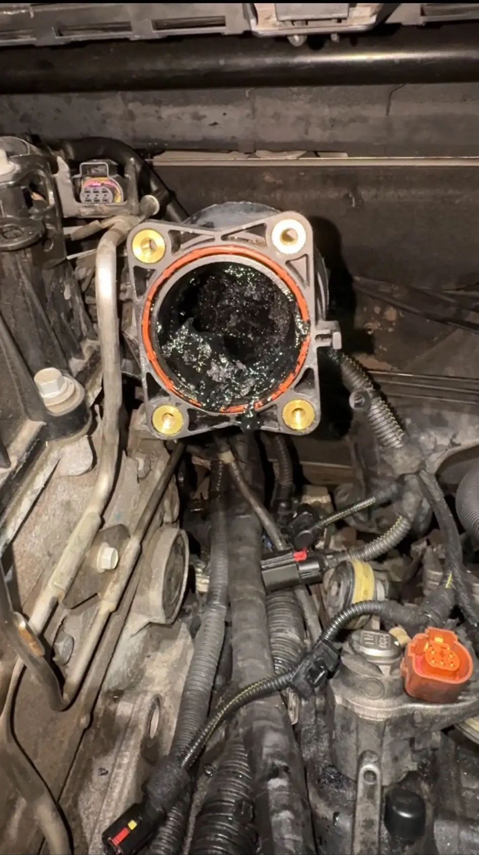 man servicing a car engine